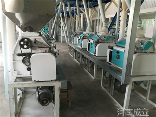 河南中牟30噸級面粉加工機(jī)械客戶安裝現(xiàn)場